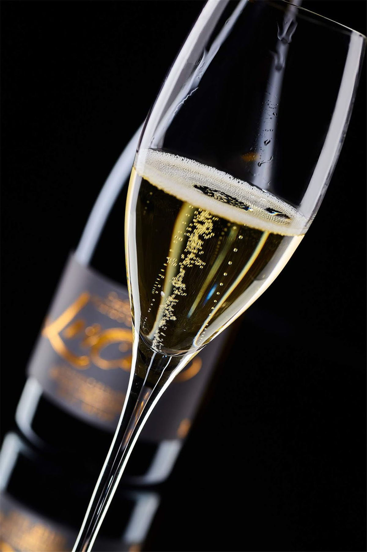 紅酒包裝設計參考(圖3) 紅酒包裝設計參考(圖3)