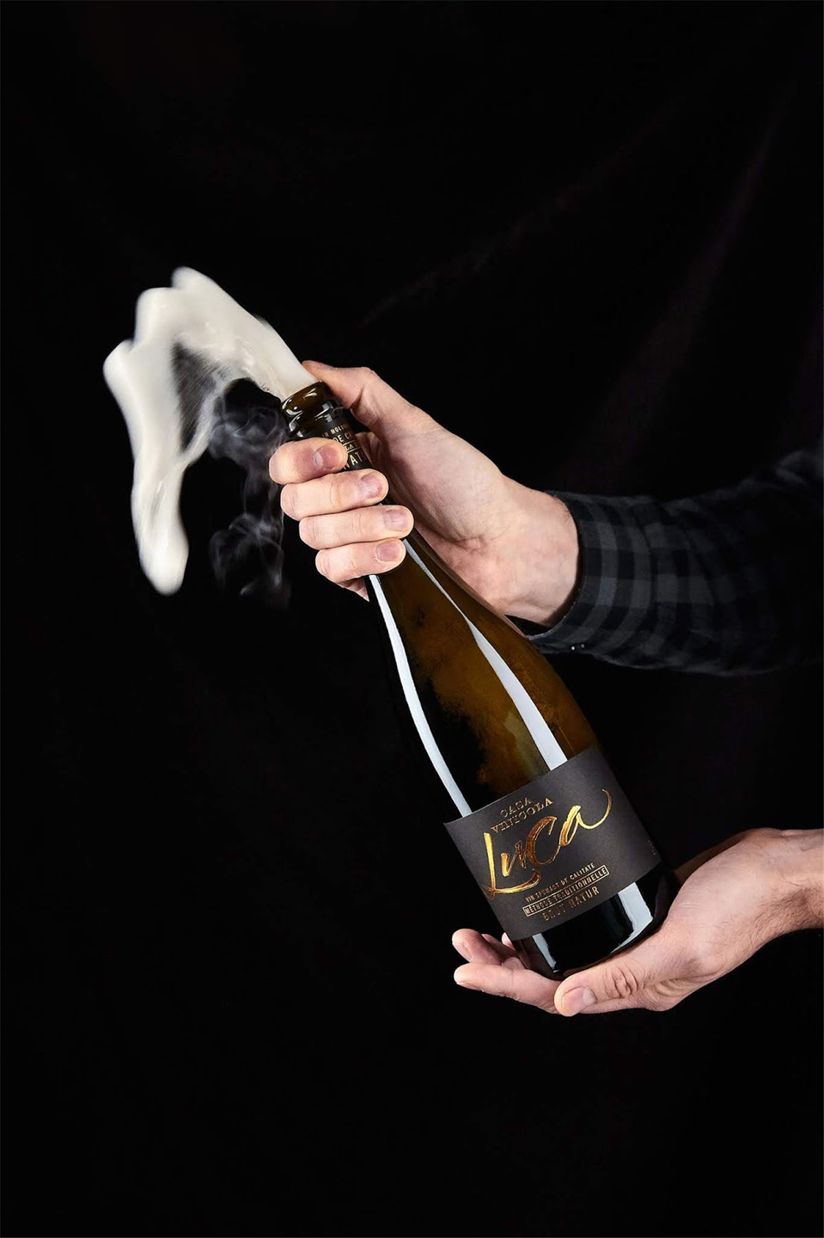 紅酒包裝設計參考(圖11) 紅酒包裝設計參考(圖11)