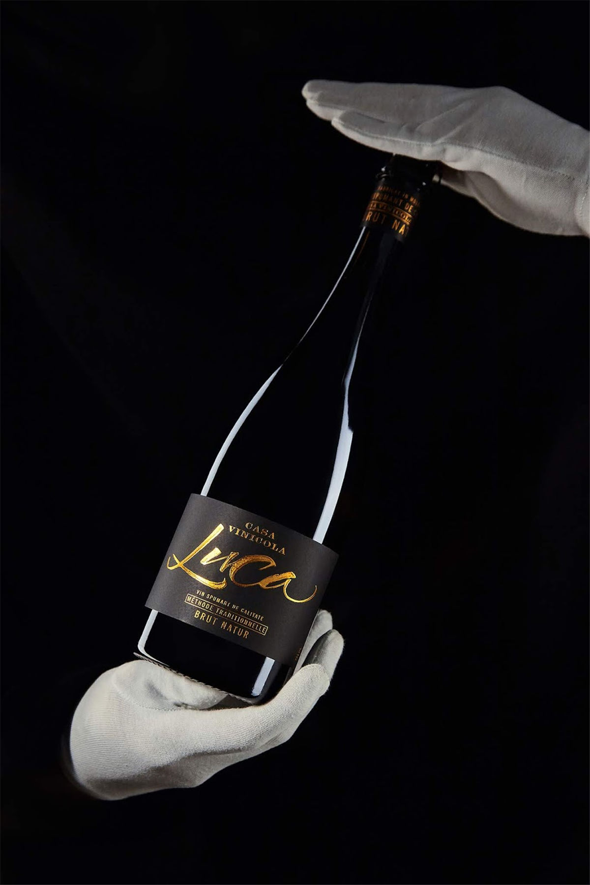 紅酒包裝設計參考(圖12) 紅酒包裝設計參考(圖12)