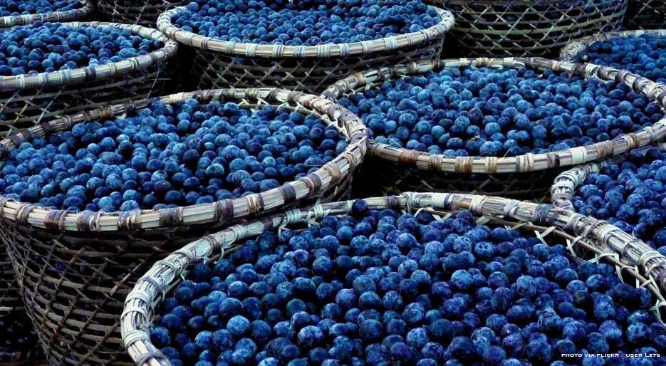 智能水與超級食品包裝設計(圖6)