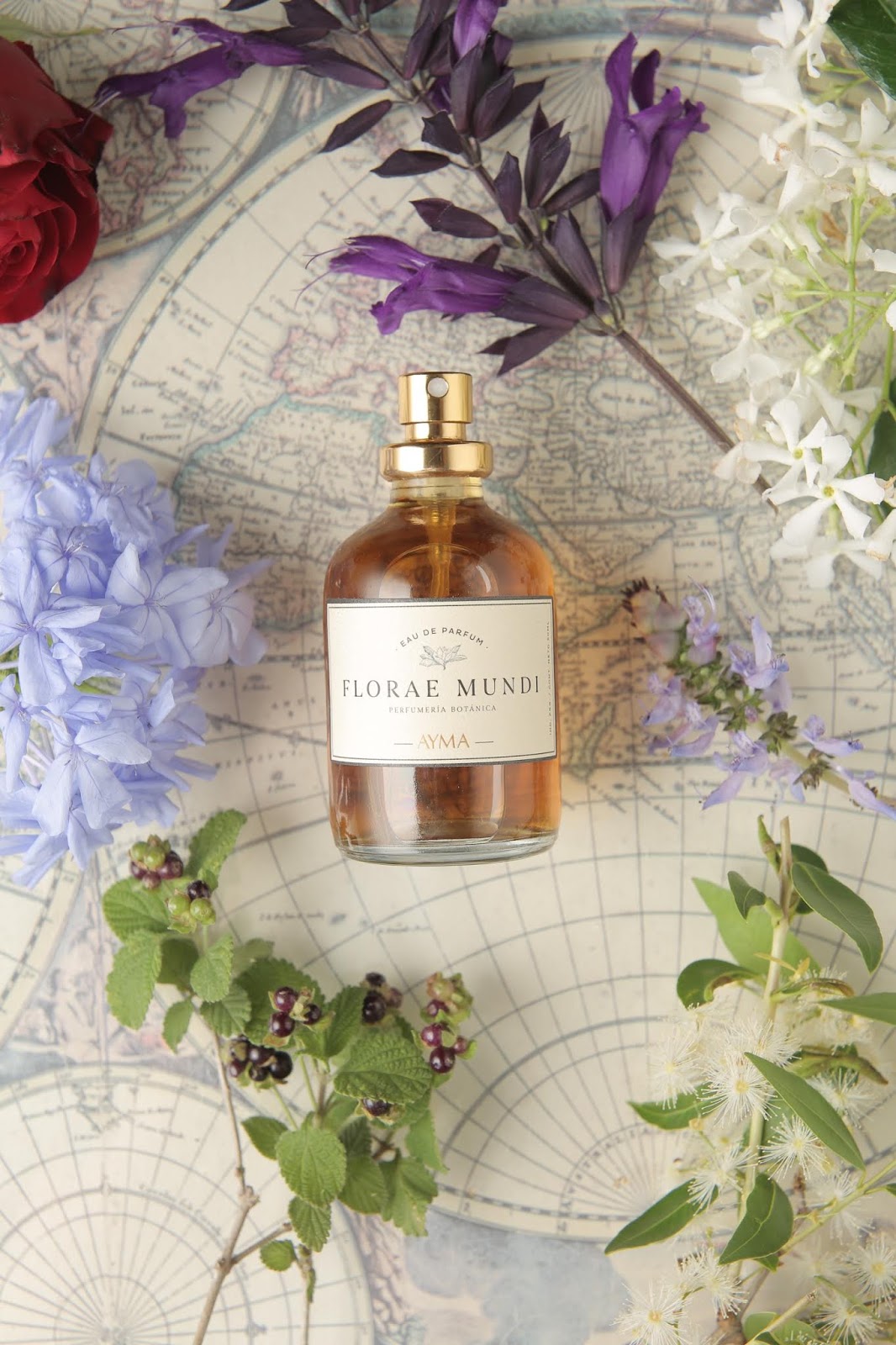 香水精油創意包裝盒(圖7)