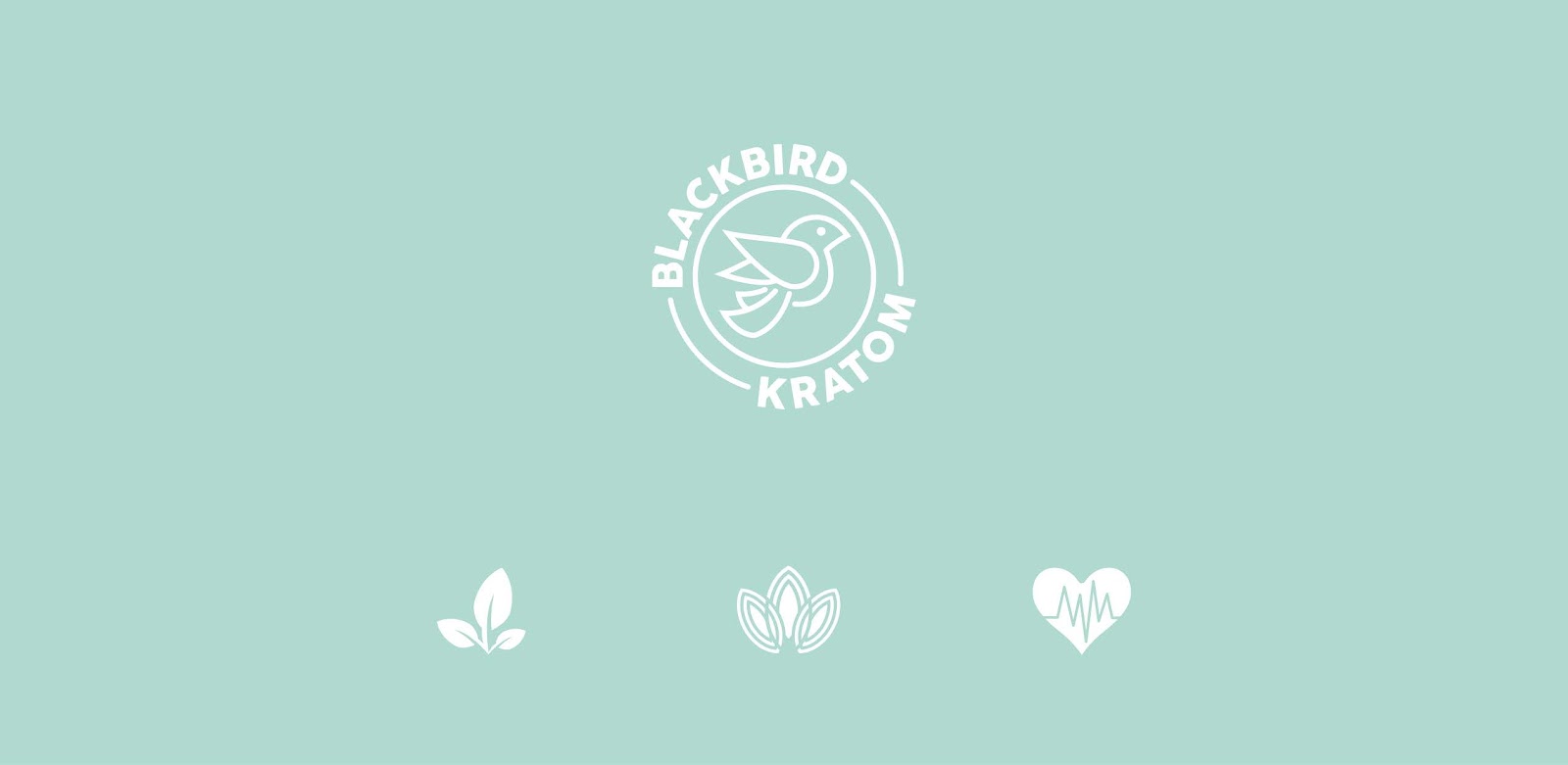 休閑零食包裝設(shè)計(jì)(圖1)