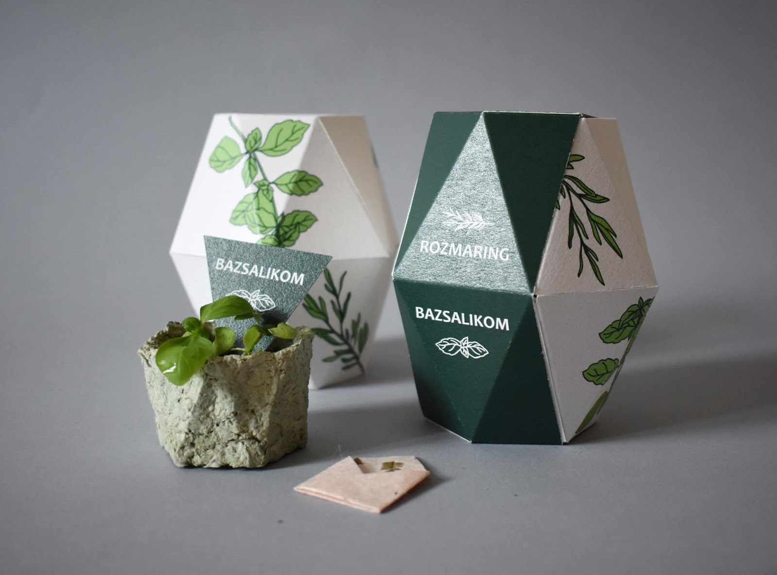 鮮花種子禮盒包裝設計(圖2)