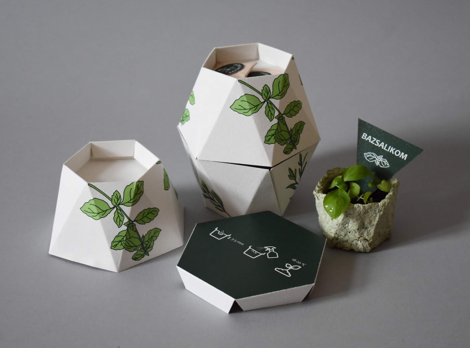 鮮花種子禮盒包裝設計(圖1)