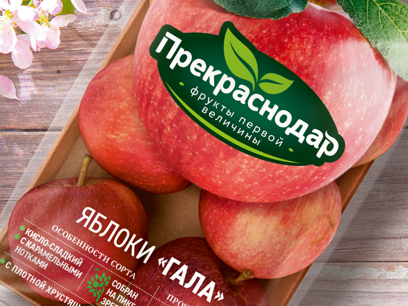 青島產品包裝設計(圖1)