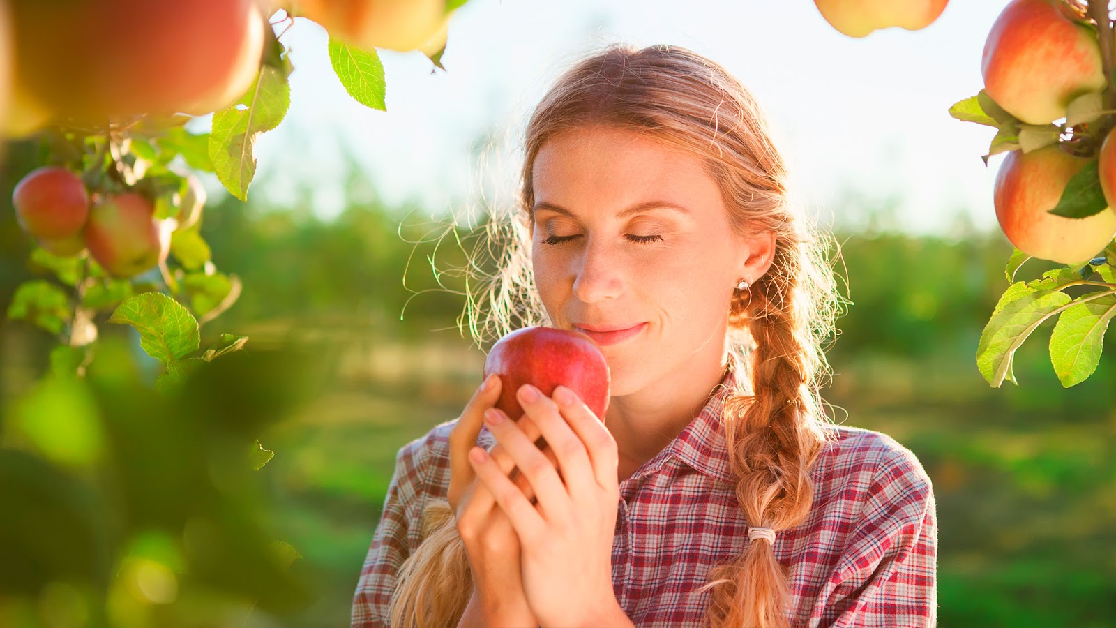 青島產品包裝設計(圖3)