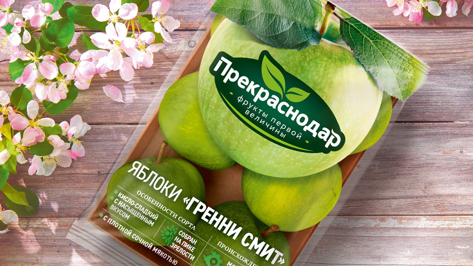 青島產品包裝設計(圖2)