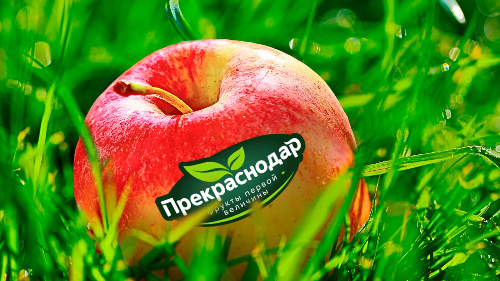 青島產品包裝設計(圖4)