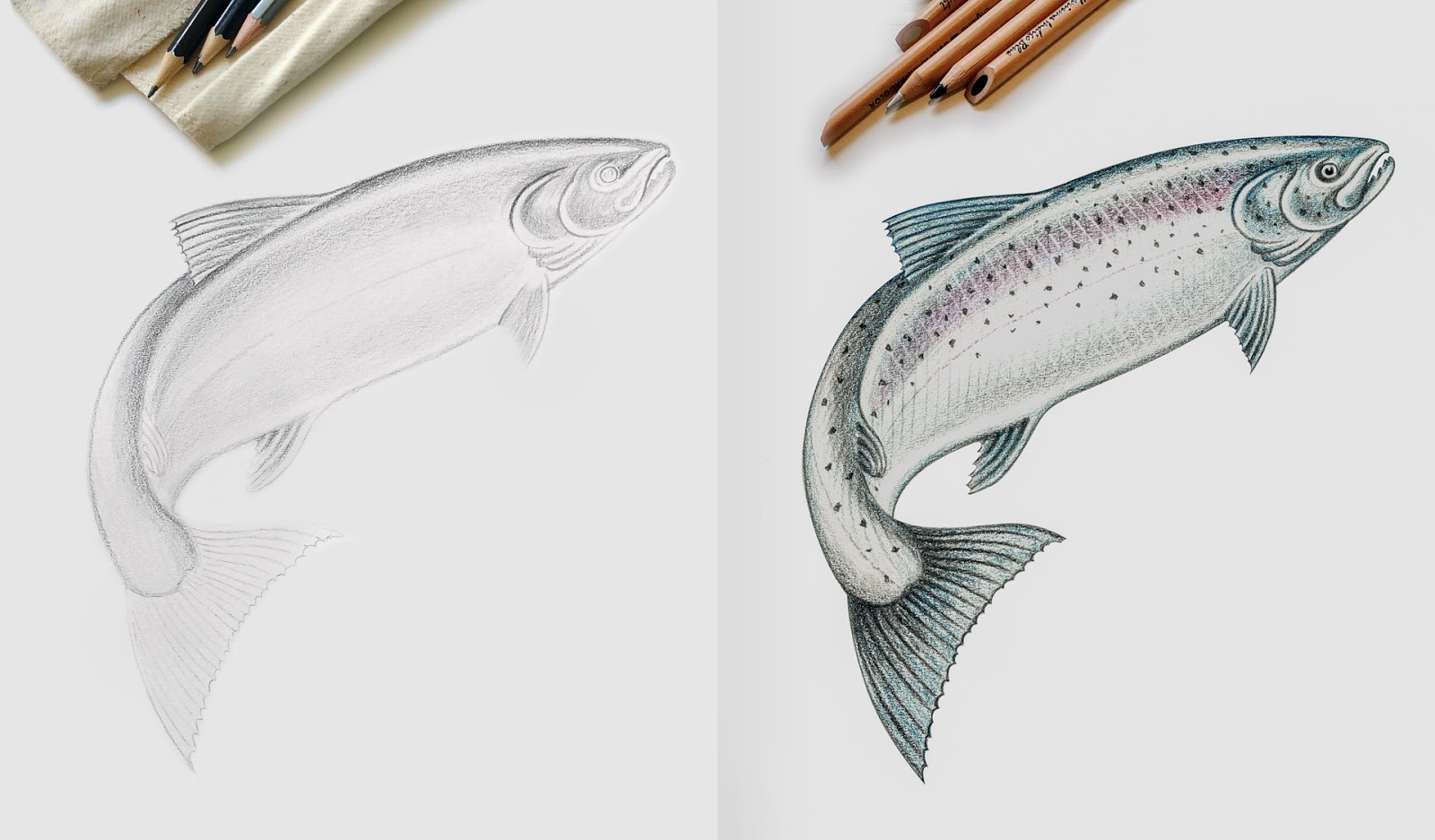 哈爾濱冷凍食品包裝設計(圖4)