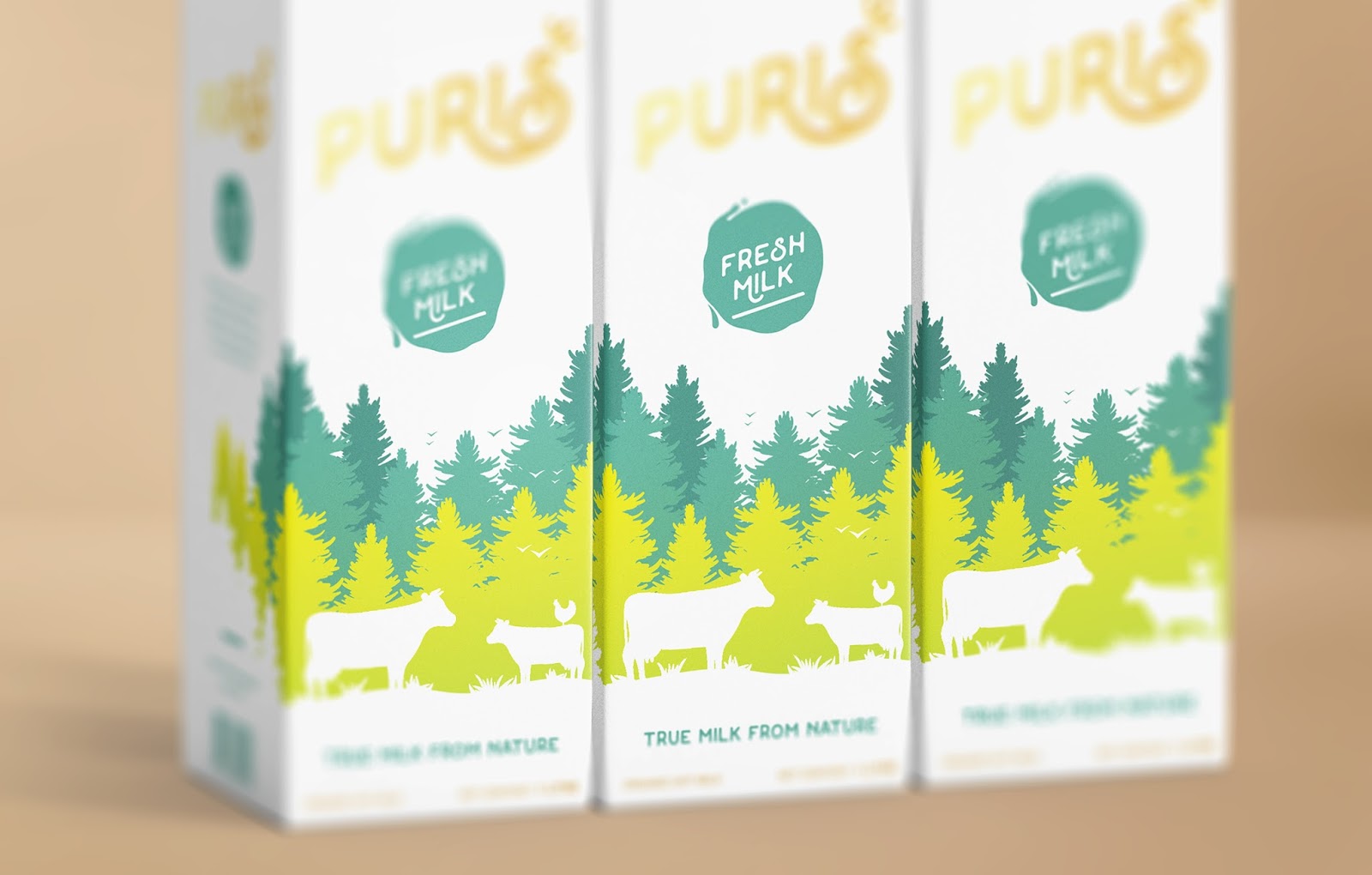 煙臺牛奶包裝設計(圖4)