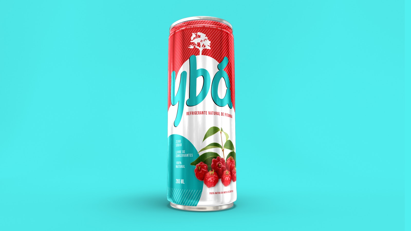 嘉興果汁品牌包裝設計(圖4)