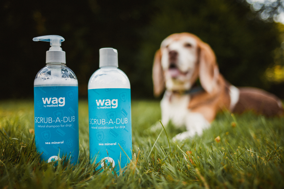 寵物包裝設(shè)計欣賞用品品牌包裝設(shè)計案例(圖1)