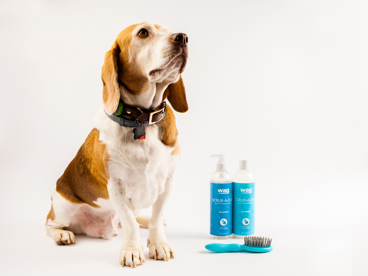 寵物包裝設(shè)計欣賞用品品牌包裝設(shè)計案例(圖6)