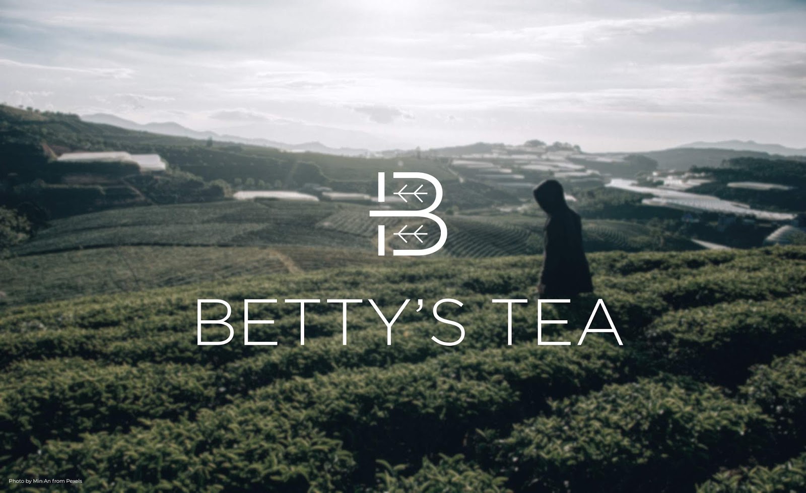 泰安茶葉包裝設計欣賞(圖1)