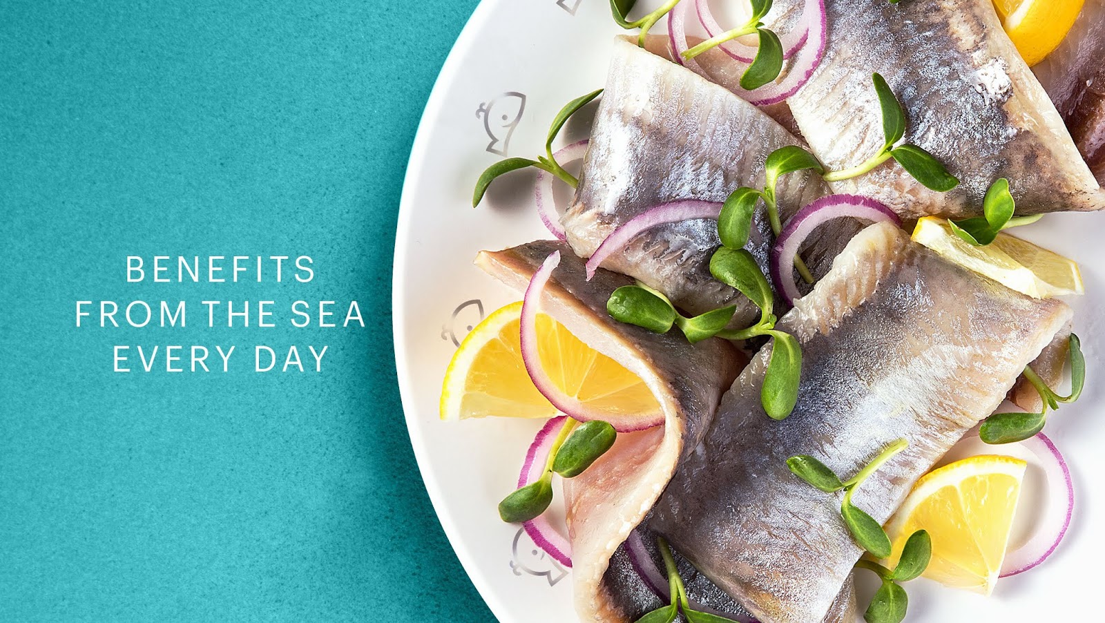 海產品包裝設計欣賞(圖2)