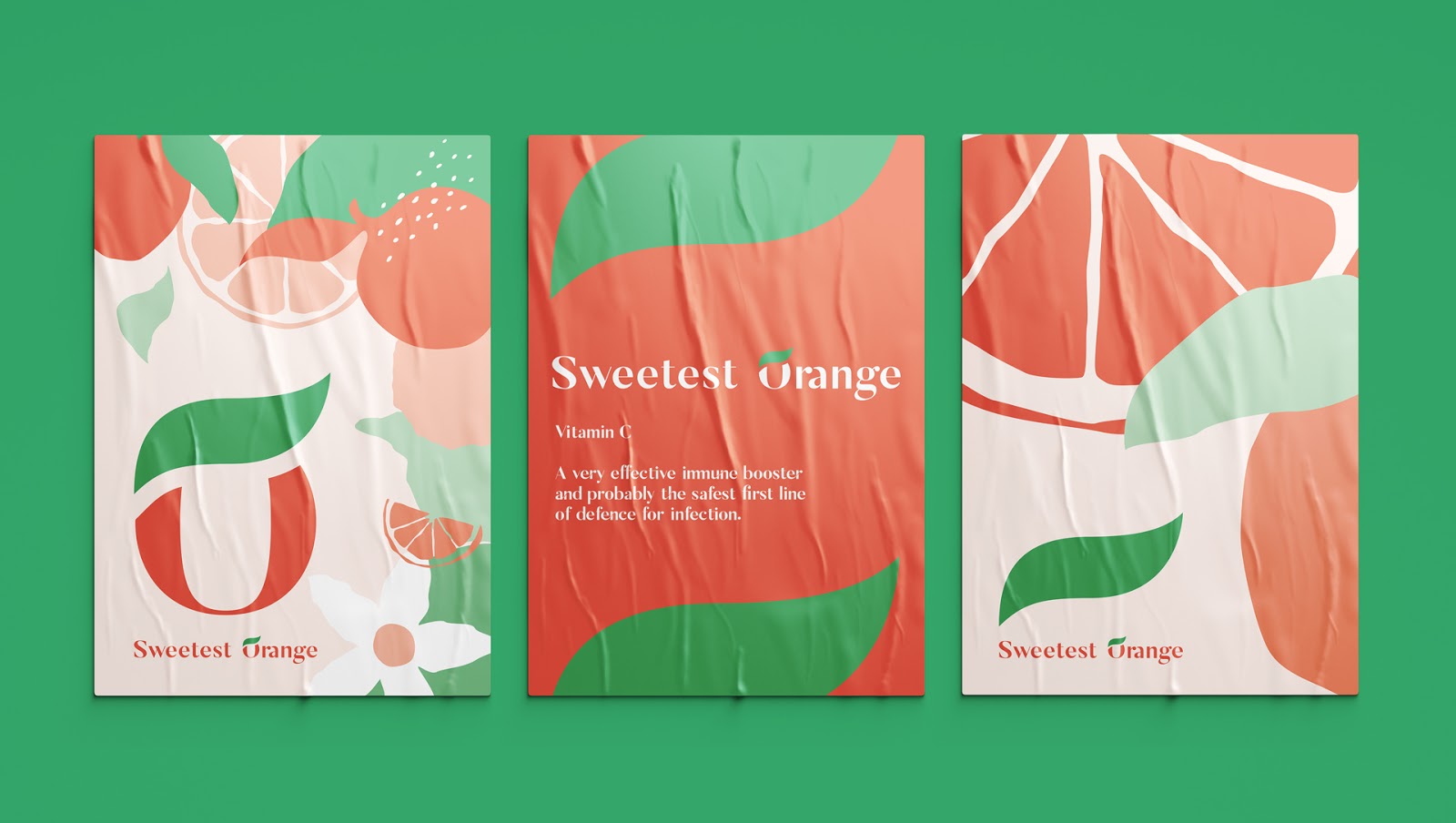 維生素C補充劑包裝設計(圖12) 維生素C補充劑包裝設計(圖12)