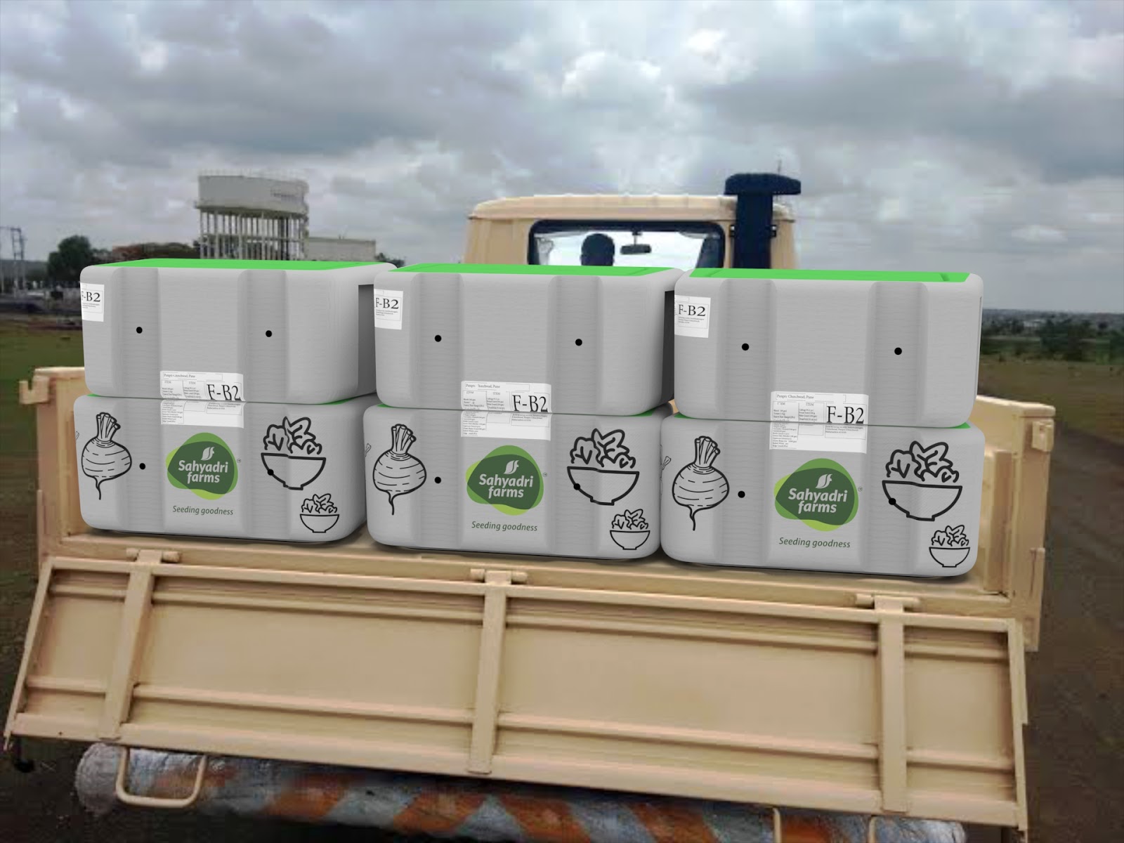 有機蔬菜外箱設計(圖6)