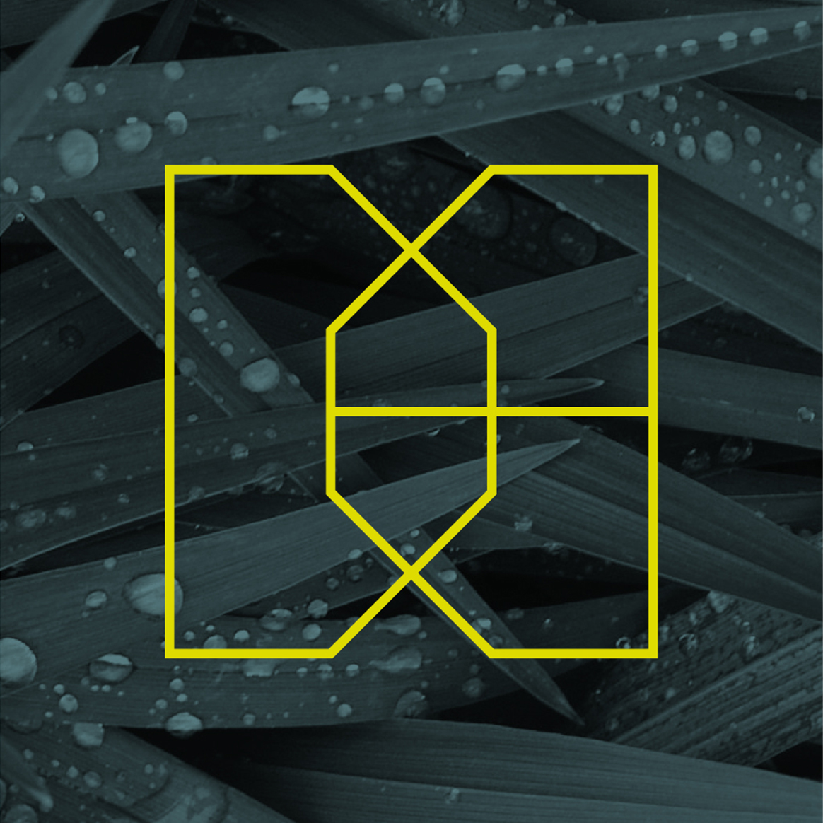 用攝影來表達(dá)啤酒包裝設(shè)計(jì)(圖3)