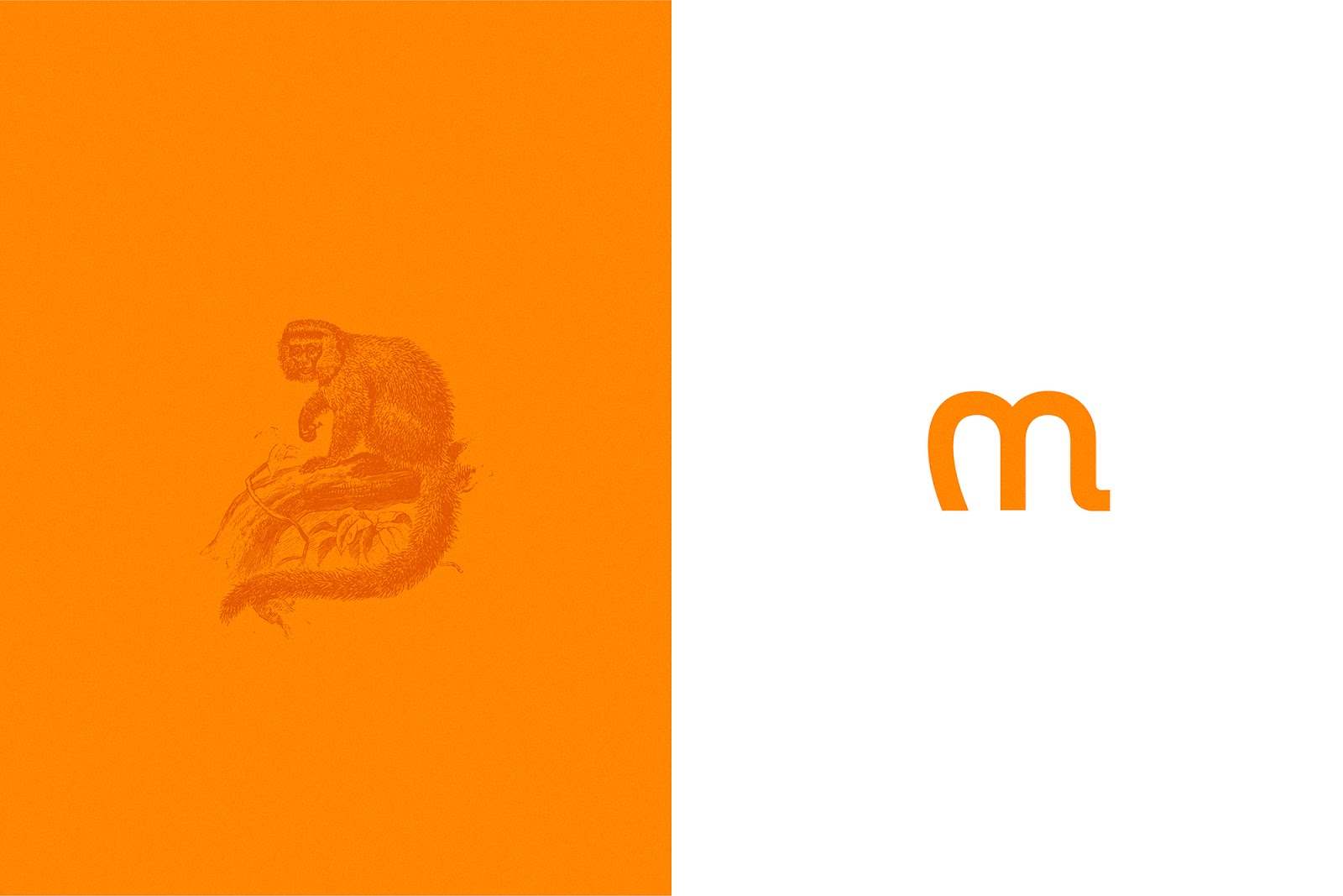 咖啡罐包裝設計(圖3)