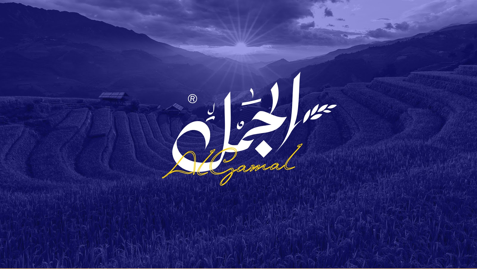 國(guó)外大米包裝設(shè)計(jì)欣賞(圖2)