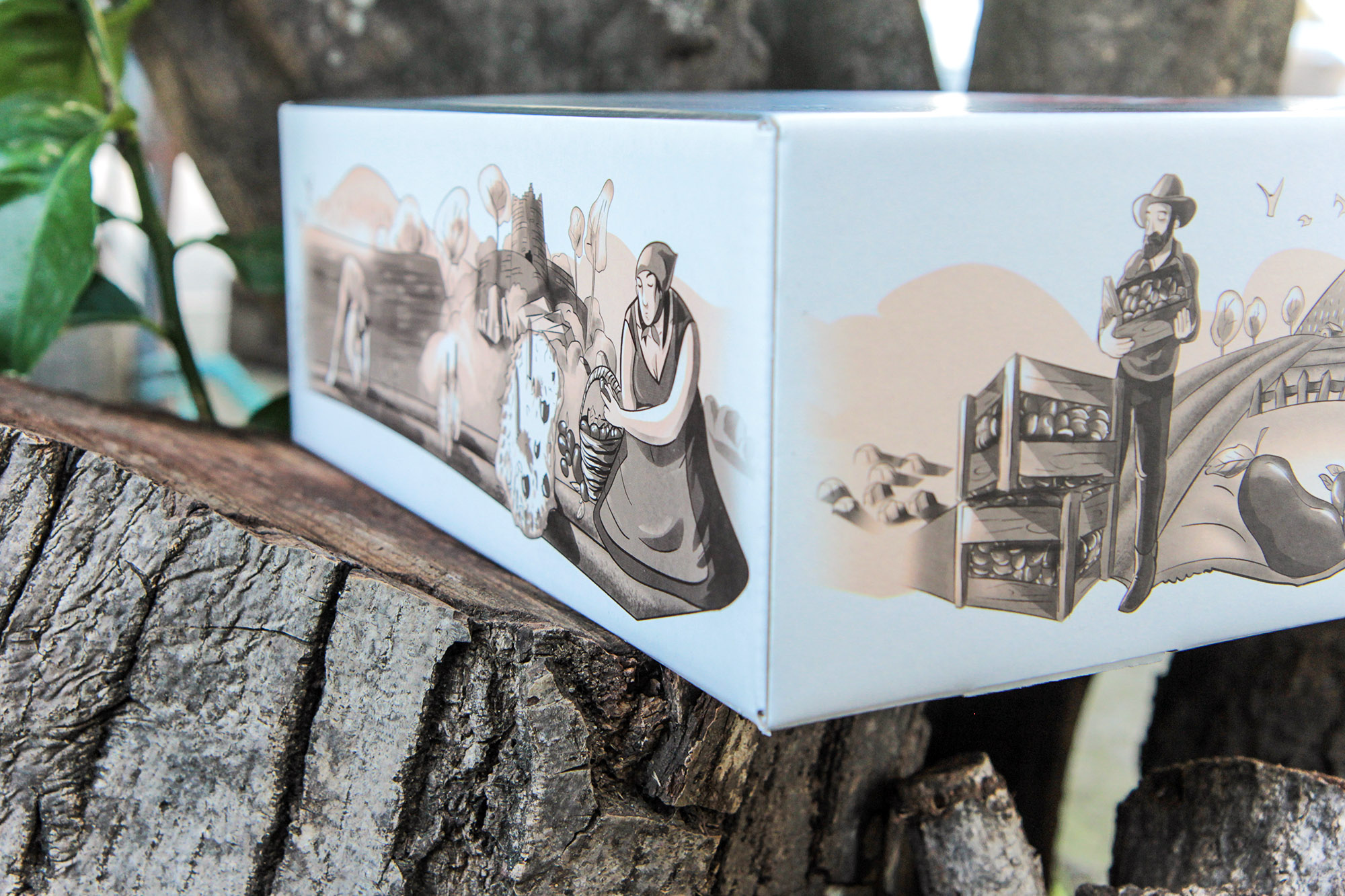 罐頭蜜餞食品包裝設計(圖7) 罐頭蜜餞食品包裝設計(圖7)