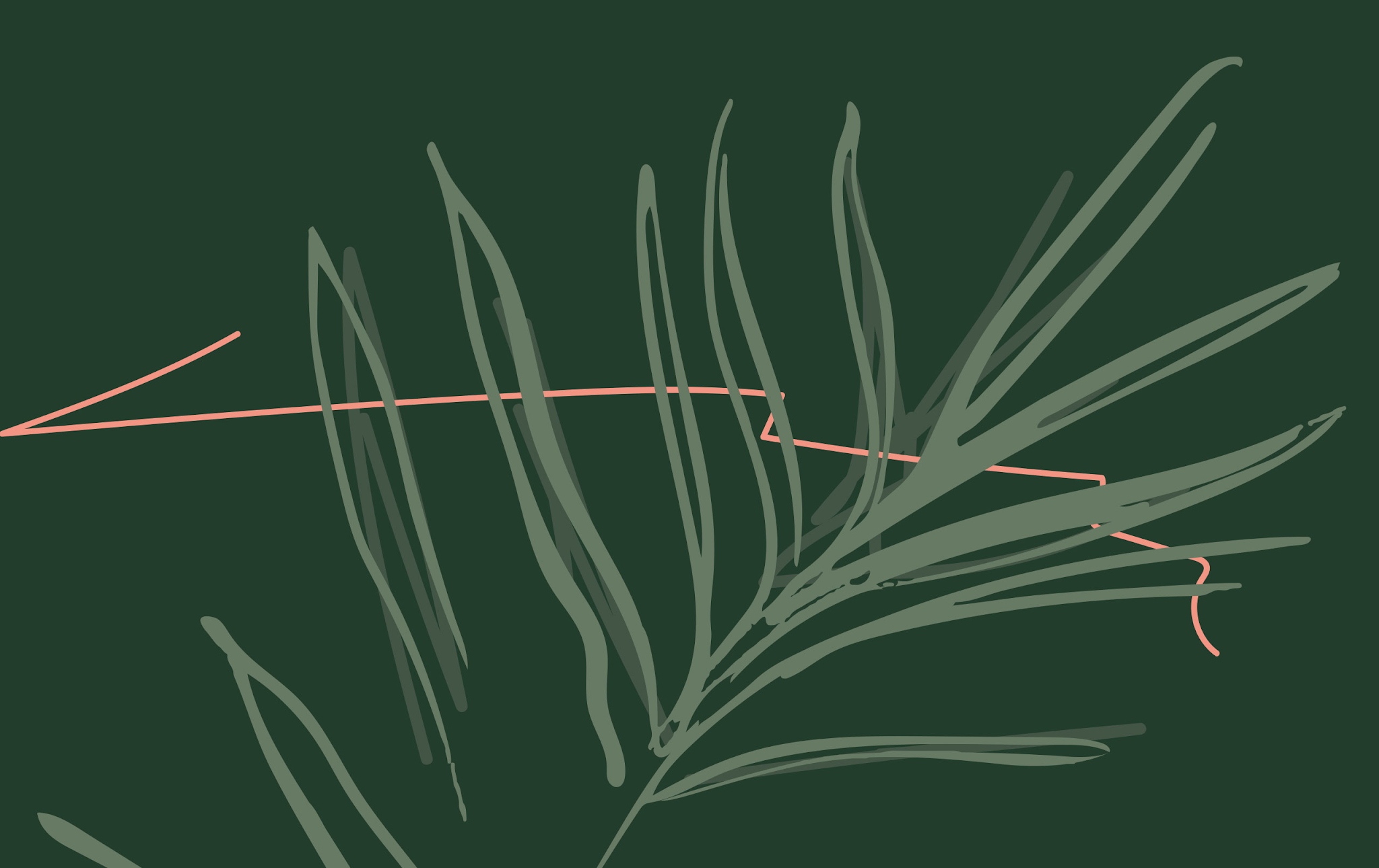 無殘留洗發(fā)水包裝設(shè)計(圖20)