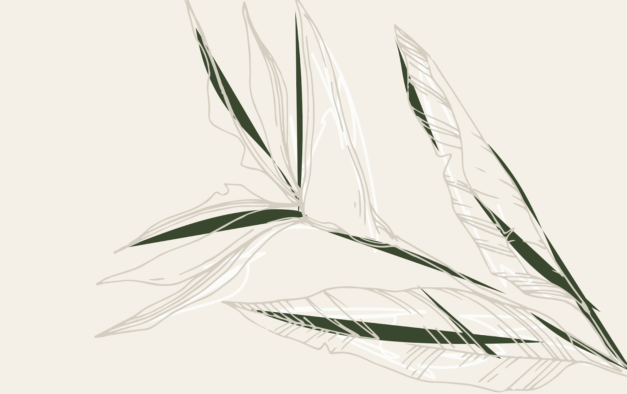 無殘留洗發(fā)水包裝設(shè)計(圖21)