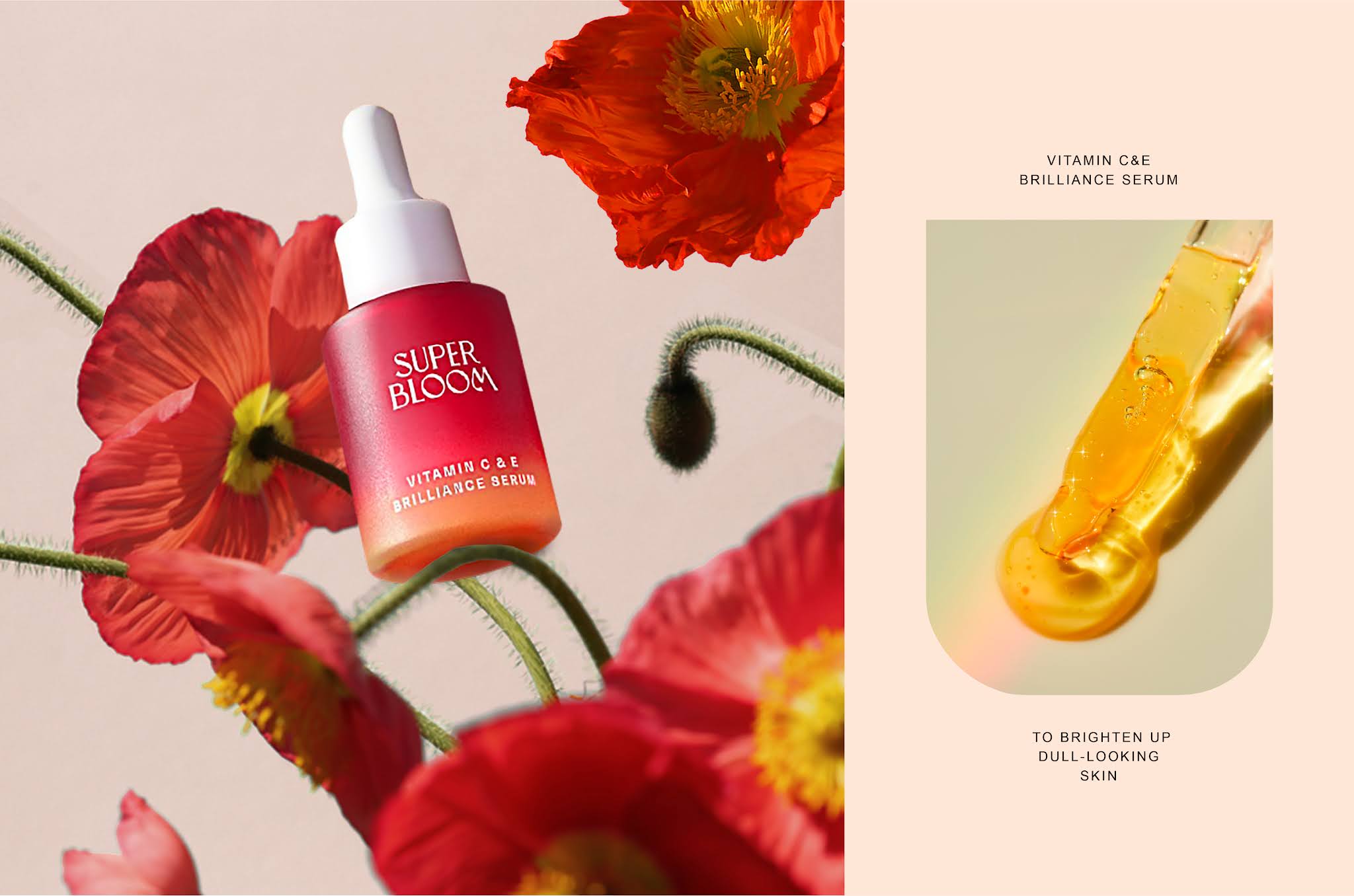 超級綻放化妝品包裝設計(圖14) 超級綻放化妝品包裝設計(圖14)