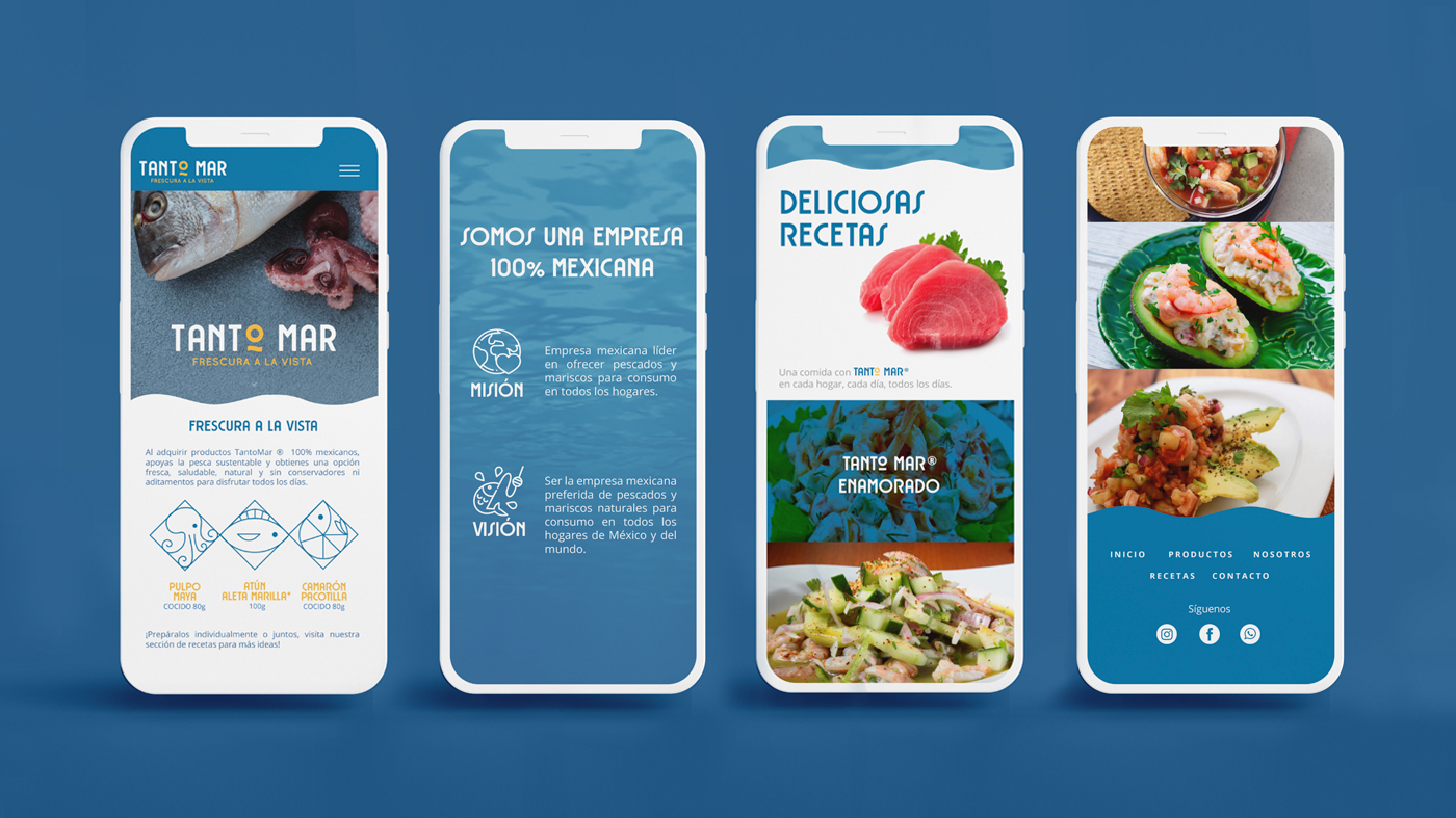 魷魚食品零食包裝設計(圖15)