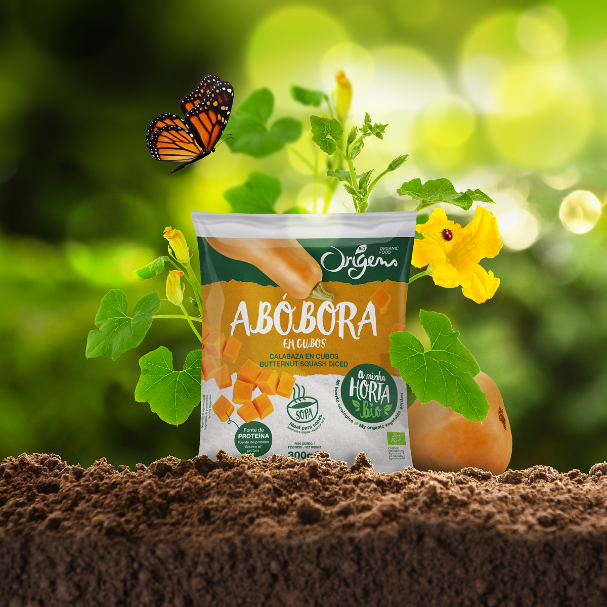 冷凍有機(jī)蔬菜包裝設(shè)計(圖1)