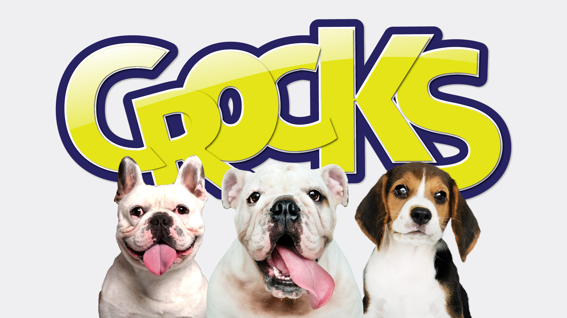 寵物包裝設計欣賞狗食品狗糧包裝設計欣賞包裝設計(圖4)