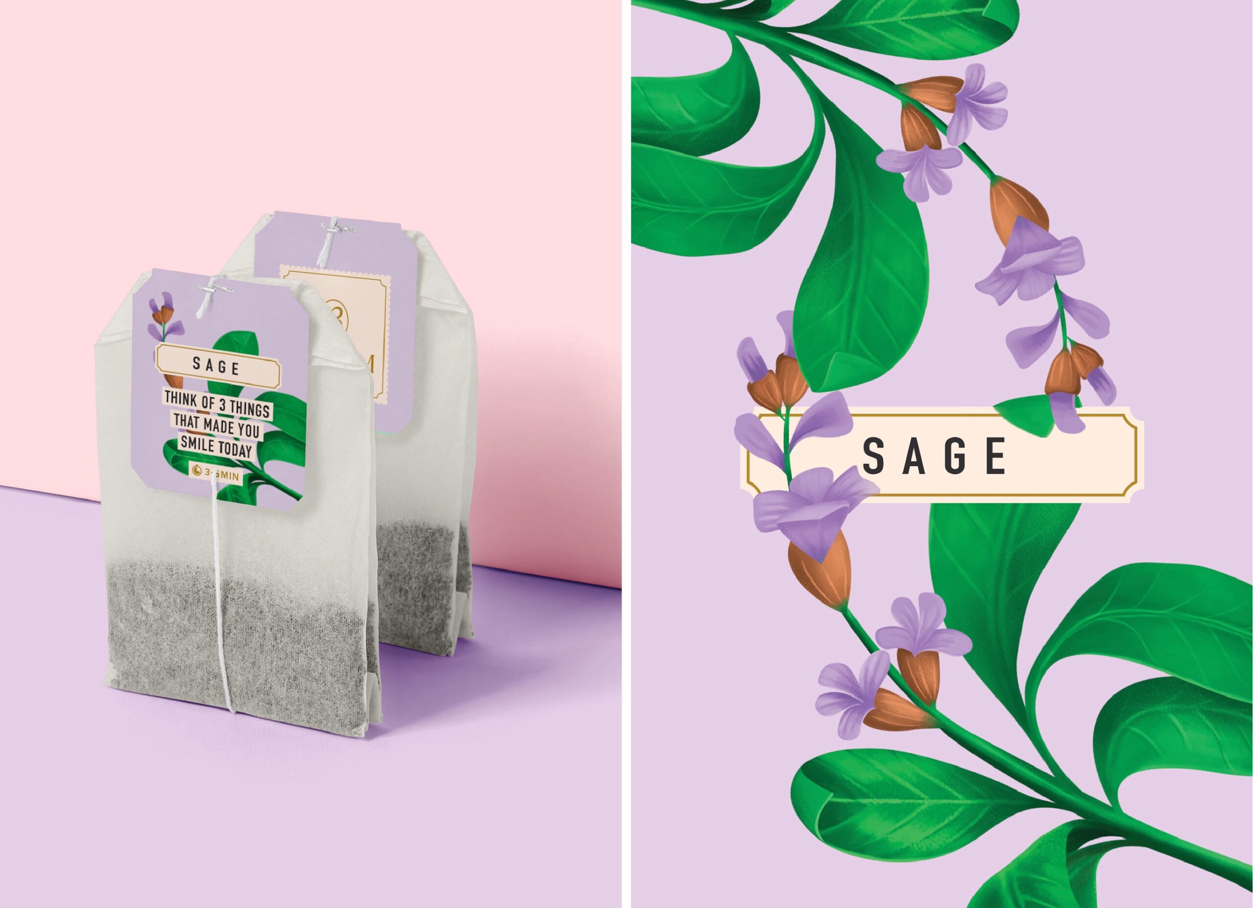 繪畫風格的草本茶包裝設計這樣做(圖7)
