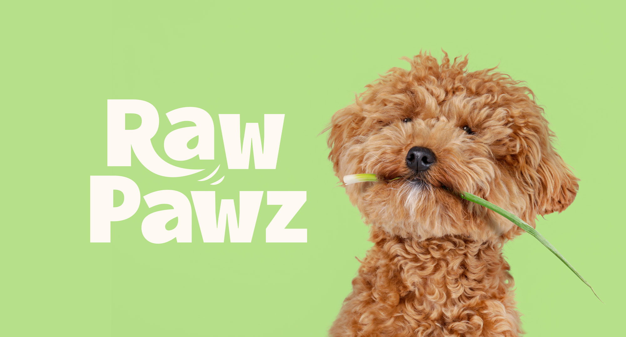 寵物包裝設(shè)計欣賞用品狗糧包裝設(shè)計欣賞包裝設(shè)計(圖1)