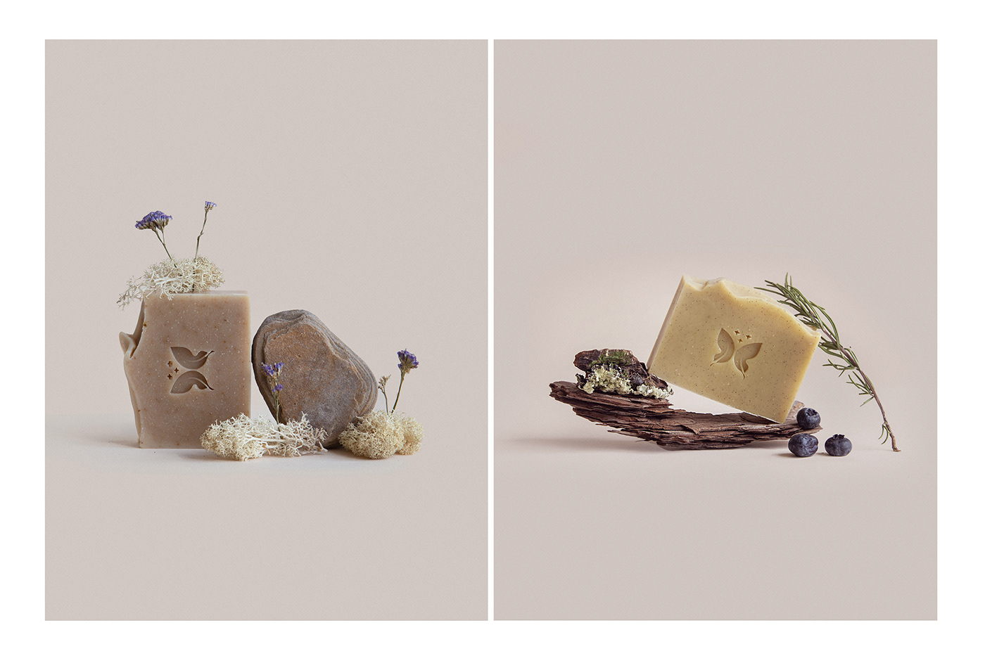 能讓人想起傳統(tǒng)的植物學(xué)書籍的護(hù)膚品包裝設(shè)計(jì)(圖10)