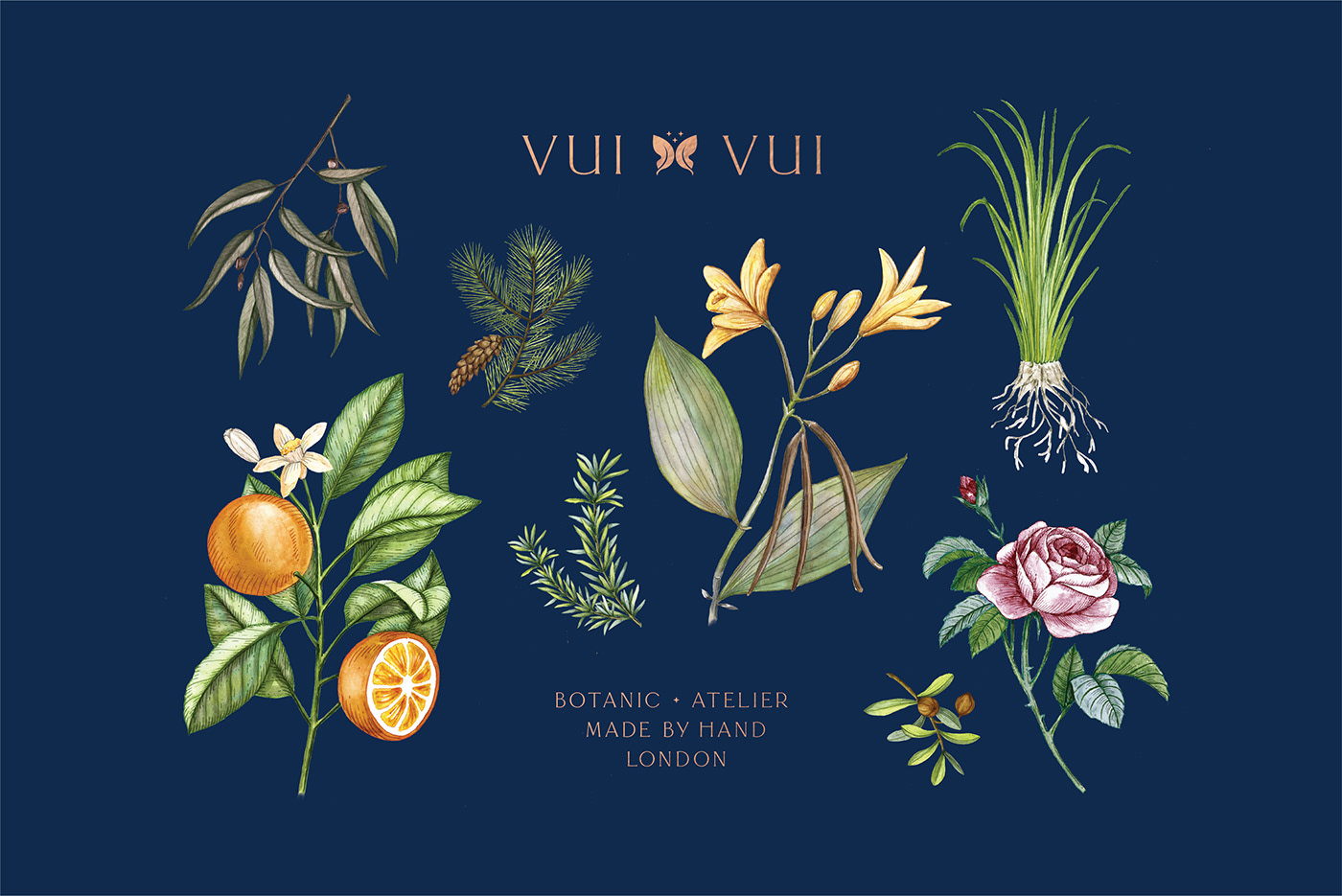 能讓人想起傳統(tǒng)的植物學(xué)書籍的護(hù)膚品包裝設(shè)計(jì)(圖8)