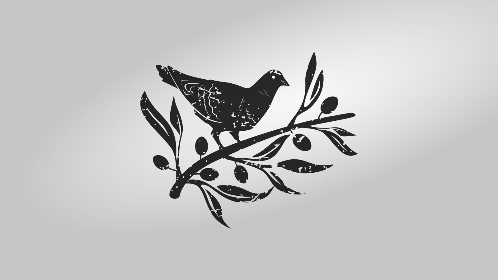 Elasion橄欖油創新包裝設計(圖3)