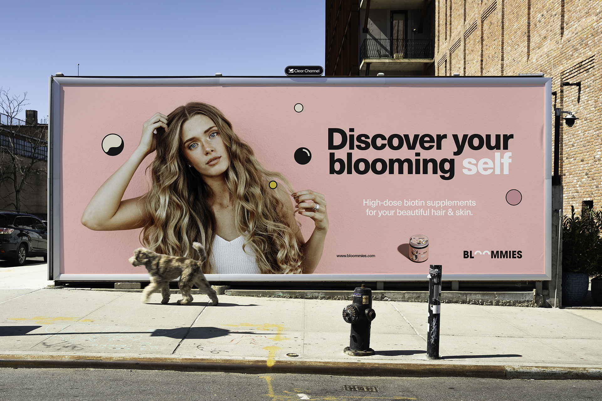 BLOOMIES頭發(fā)護(hù)理產(chǎn)品包裝設(shè)計(jì)(圖5) BLOOMIES頭發(fā)護(hù)理產(chǎn)品包裝設(shè)計(jì)(圖5)