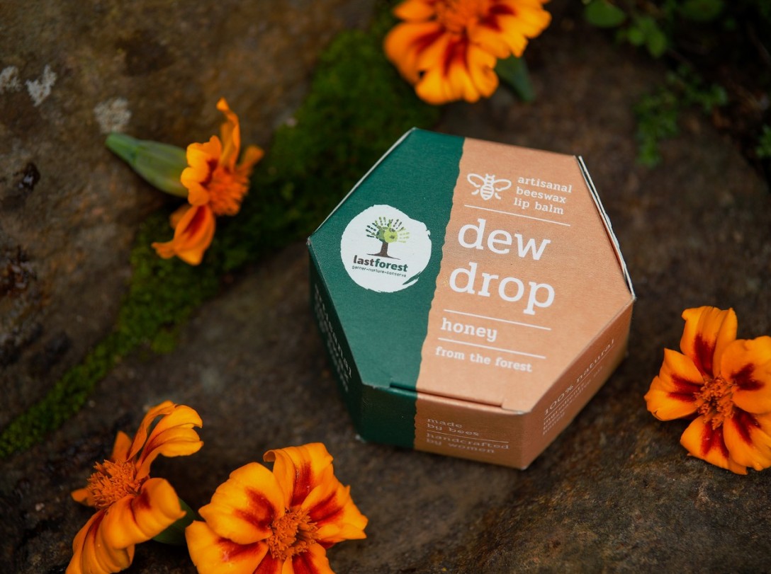 ?Last Forest 手工蜂蠟潤唇膏的包裝設計(圖4) ?Last Forest 手工蜂蠟潤唇膏的包裝設計(圖4)