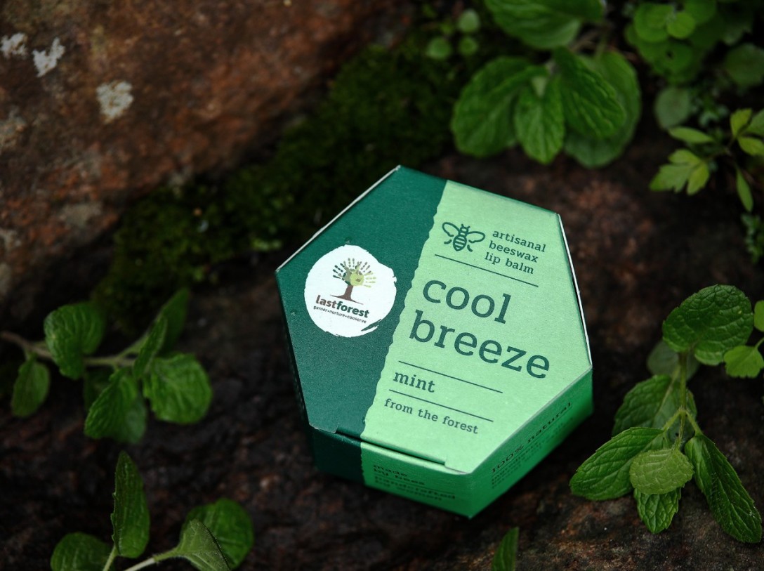 ?Last Forest 手工蜂蠟潤唇膏的包裝設計(圖1) ?Last Forest 手工蜂蠟潤唇膏的包裝設計(圖1)