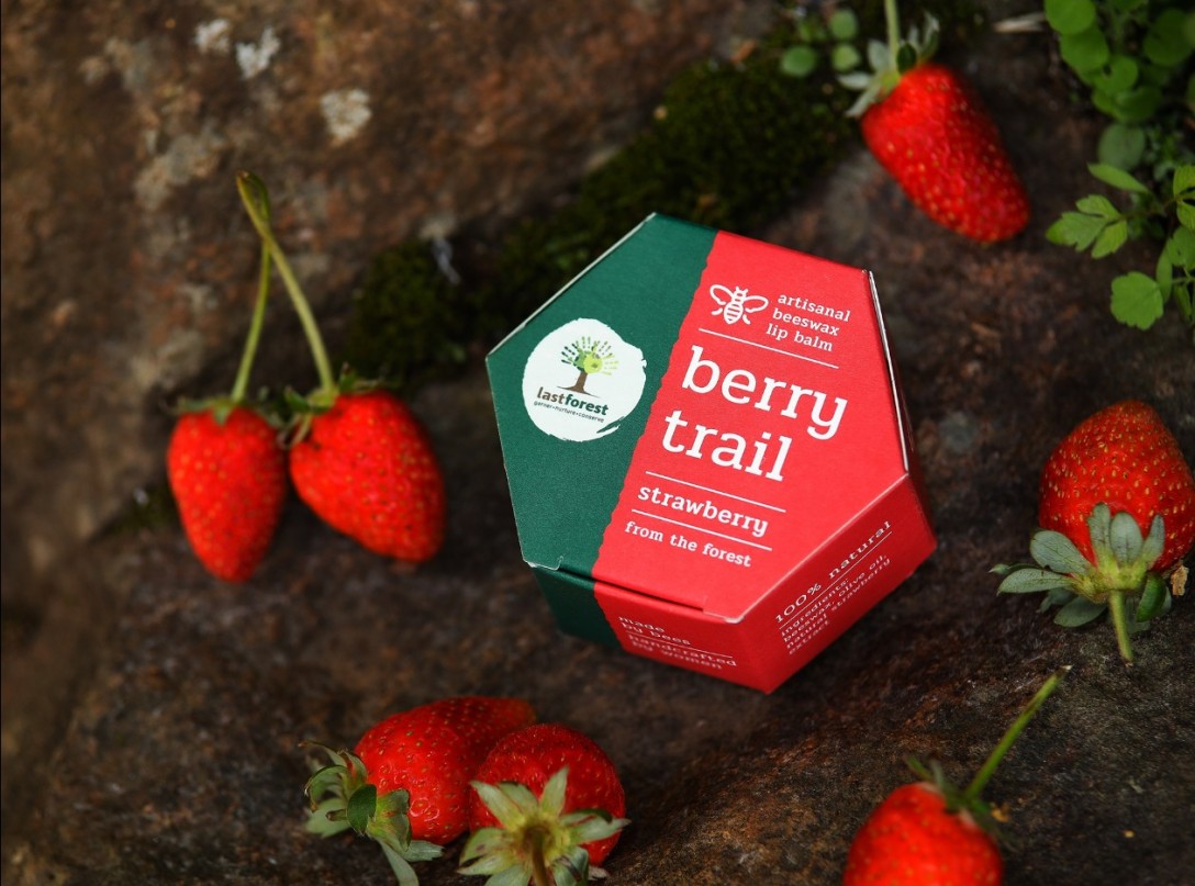 ?Last Forest 手工蜂蠟潤唇膏的包裝設計(圖8) ?Last Forest 手工蜂蠟潤唇膏的包裝設計(圖8)