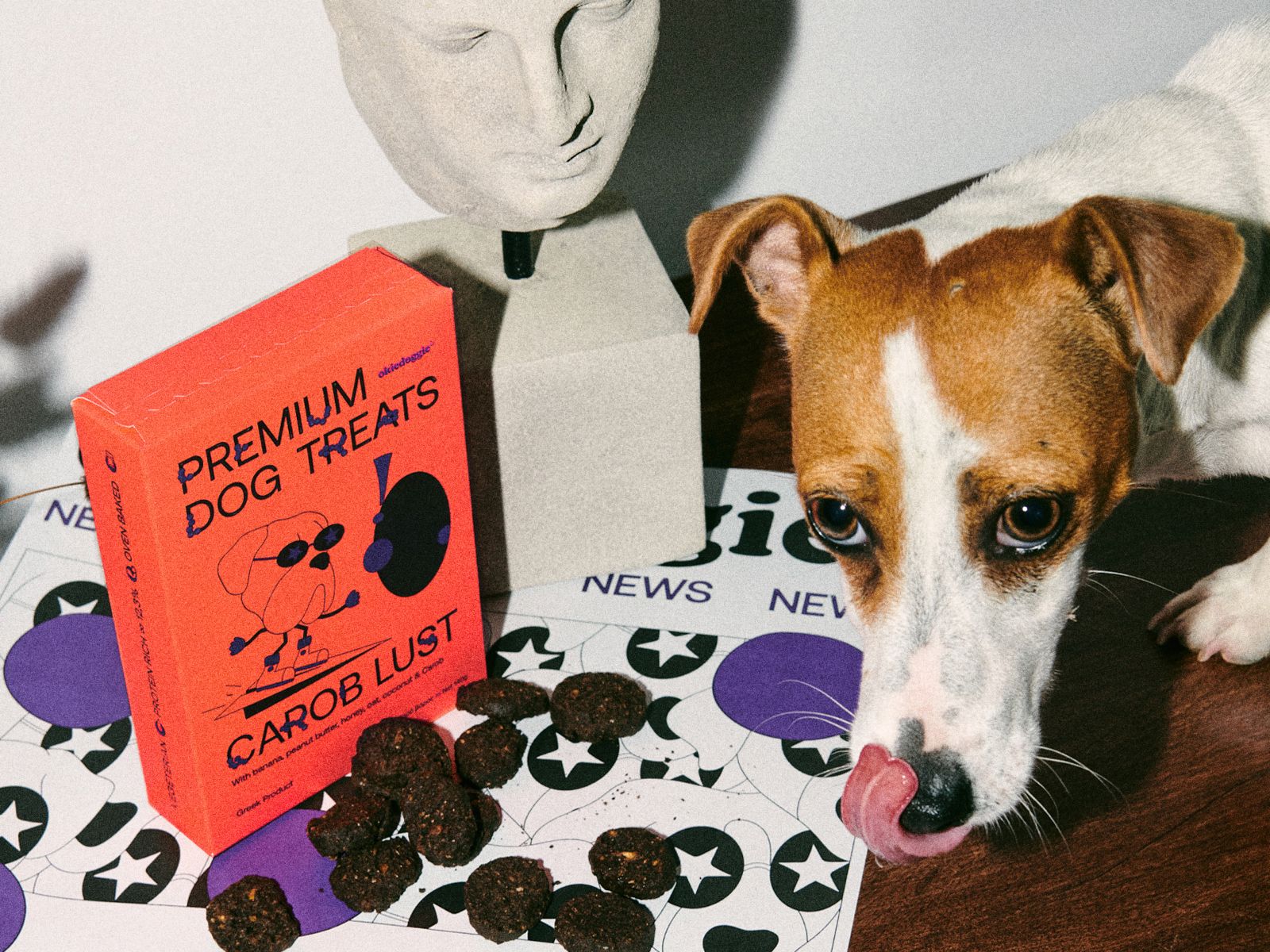 ?Okiedoggie狗零食包裝設計(圖4)