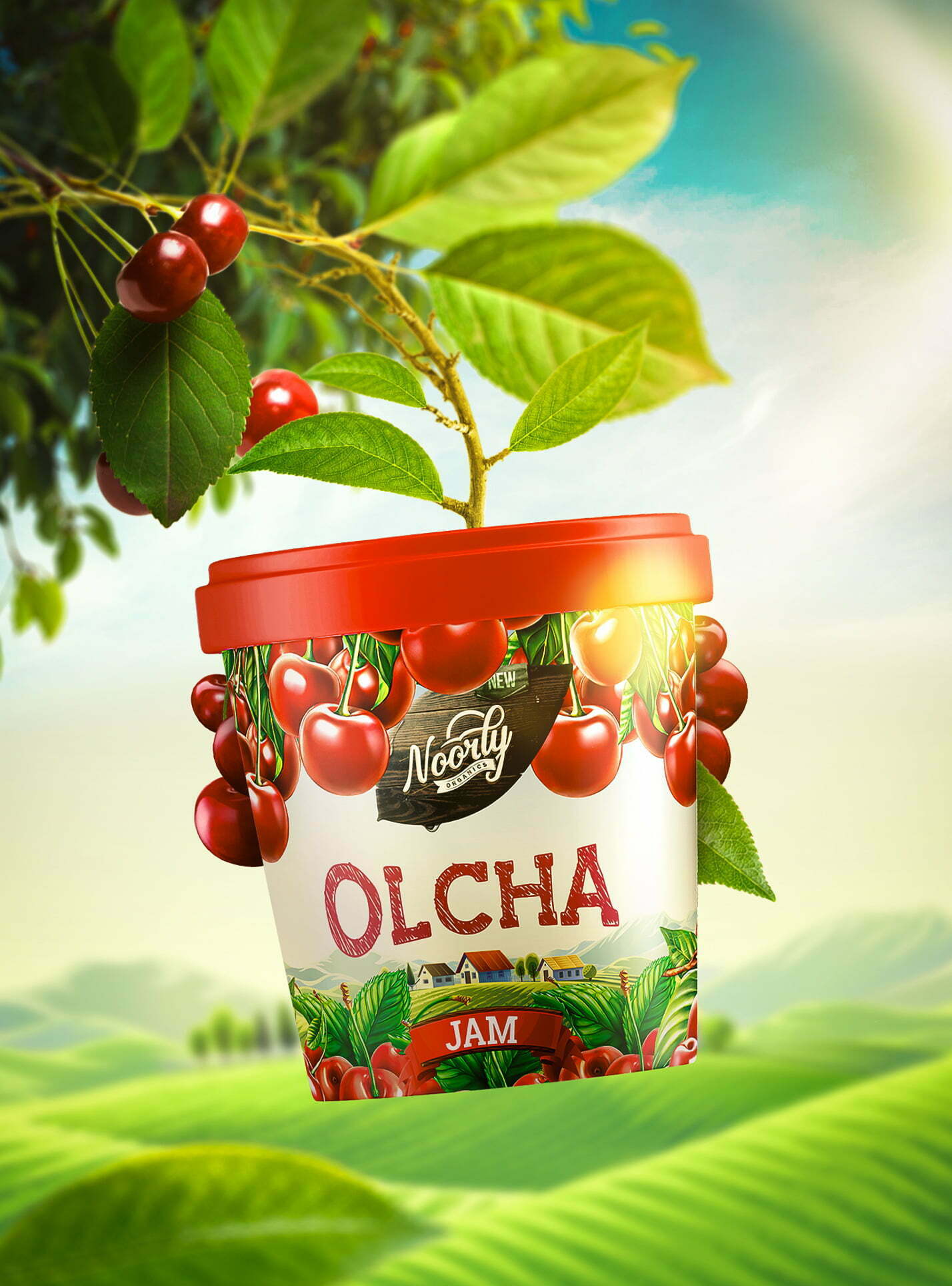 鮮艷明亮的Noorly水果醬包裝設計這樣做(圖7)