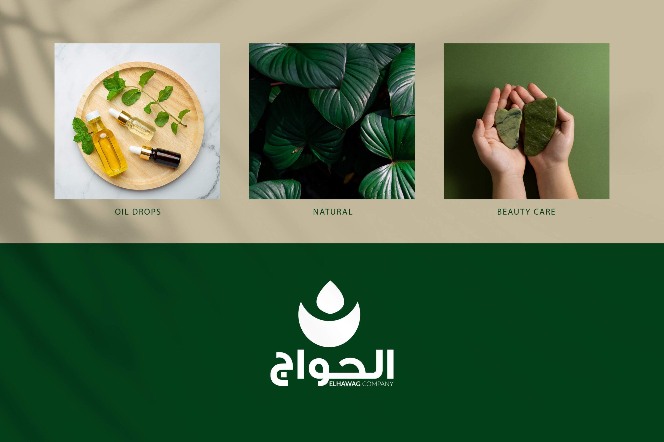 保健產(chǎn)品包裝設計這樣做貨架上更易識別(圖2)