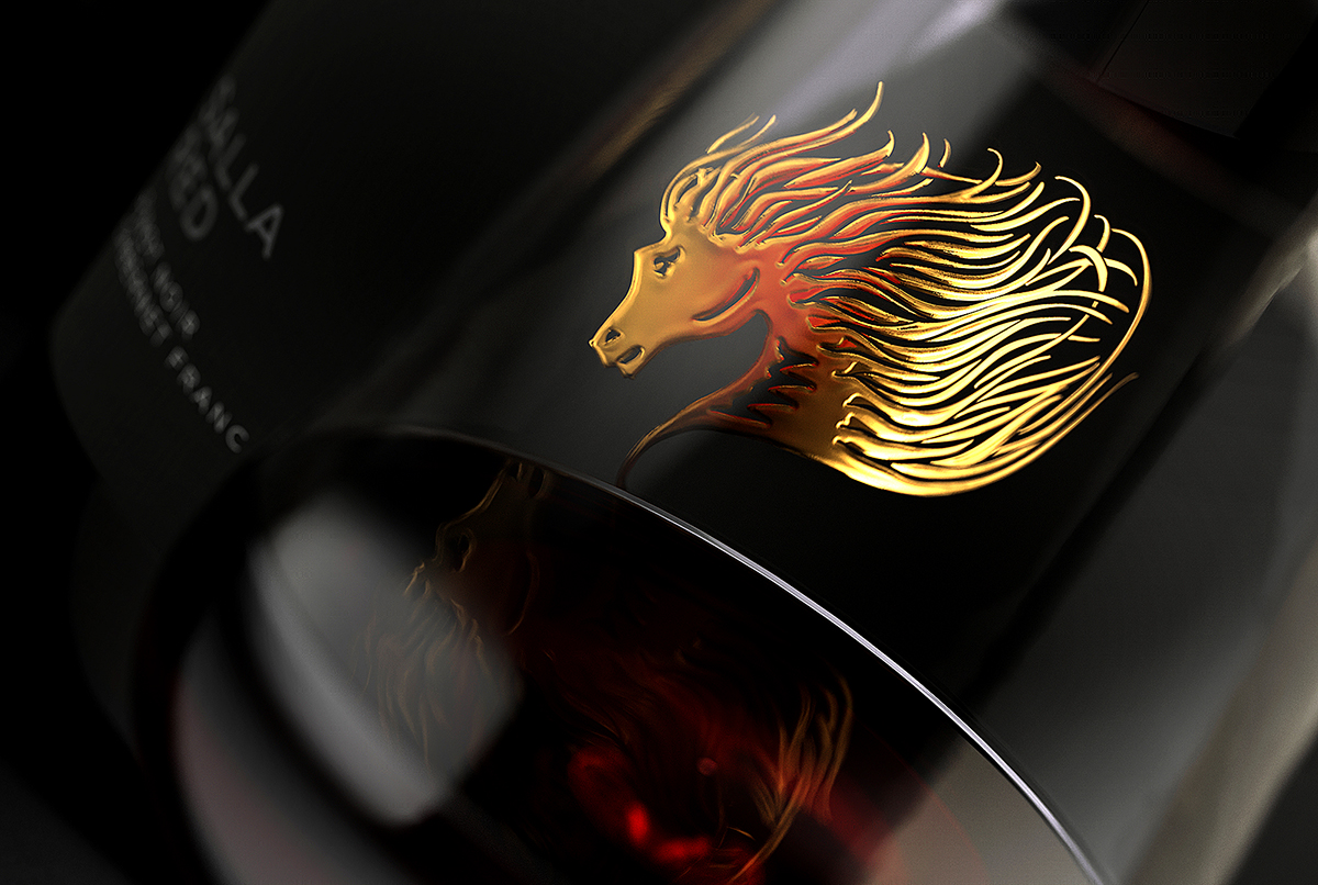 優質葡萄酒現代化酒標設計欣賞(圖3)