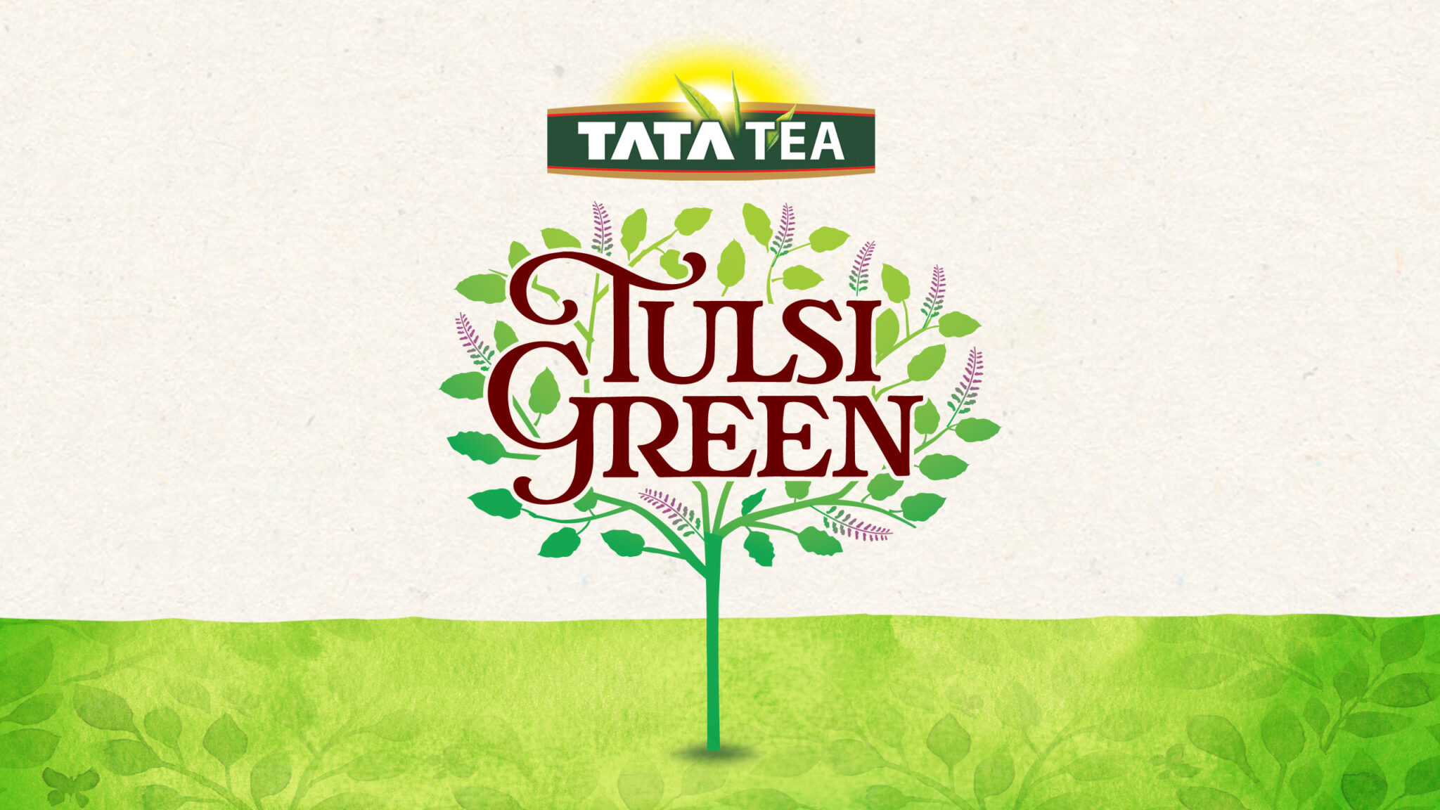 自然清新的茶葉包裝設計欣賞(圖3)