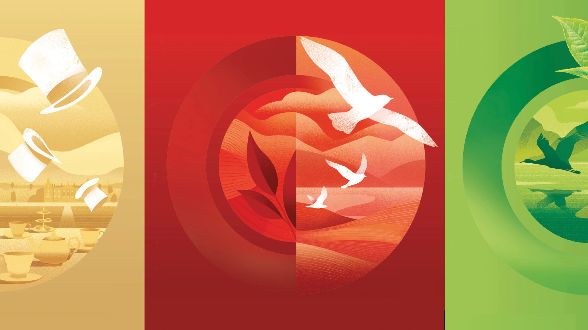 Twinings 茶包裝這樣設(shè)計(jì)視覺識(shí)別更加現(xiàn)代(圖4)