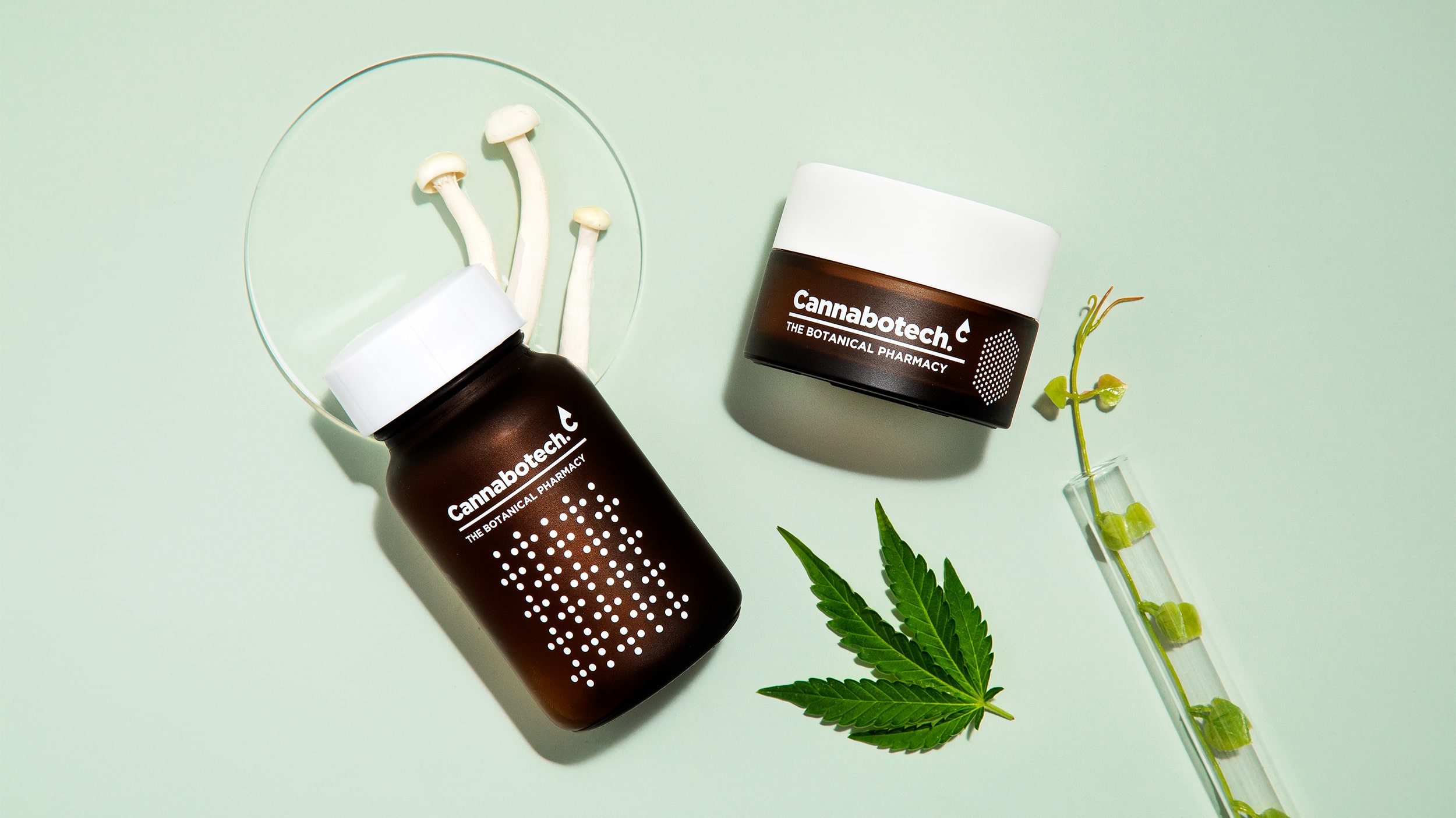 優質品牌植物護理產品包裝設計欣賞(圖3)