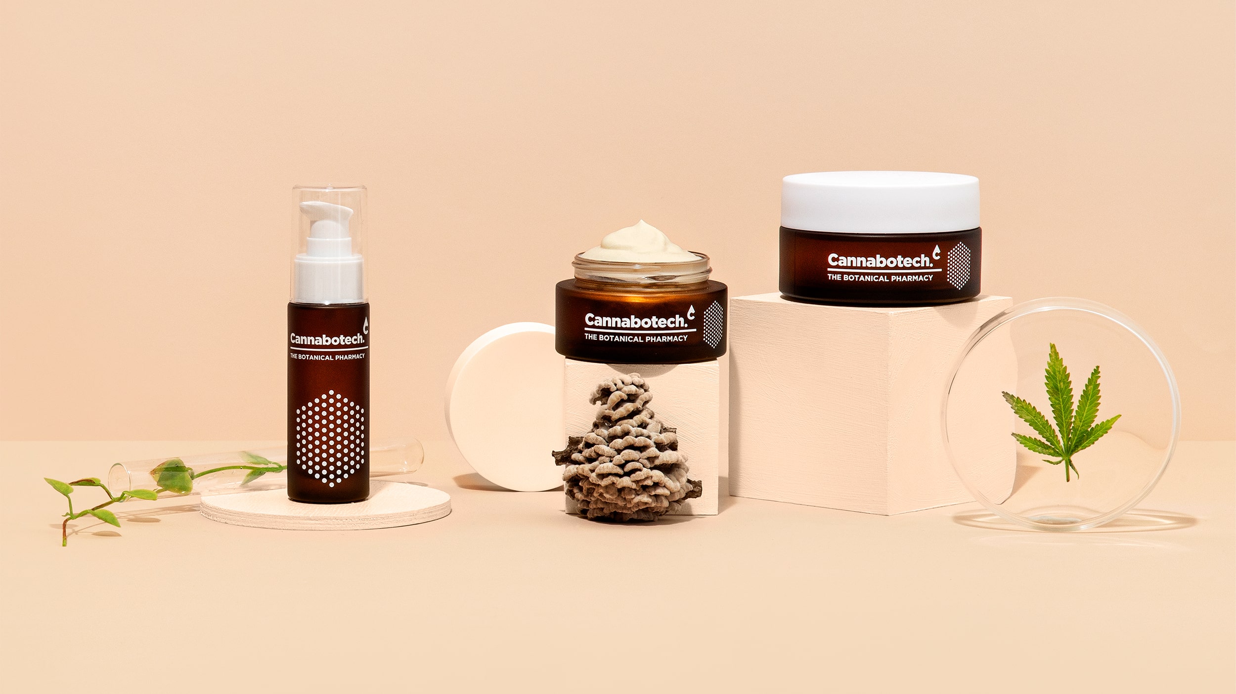 優質品牌植物護理產品包裝設計欣賞(圖4)