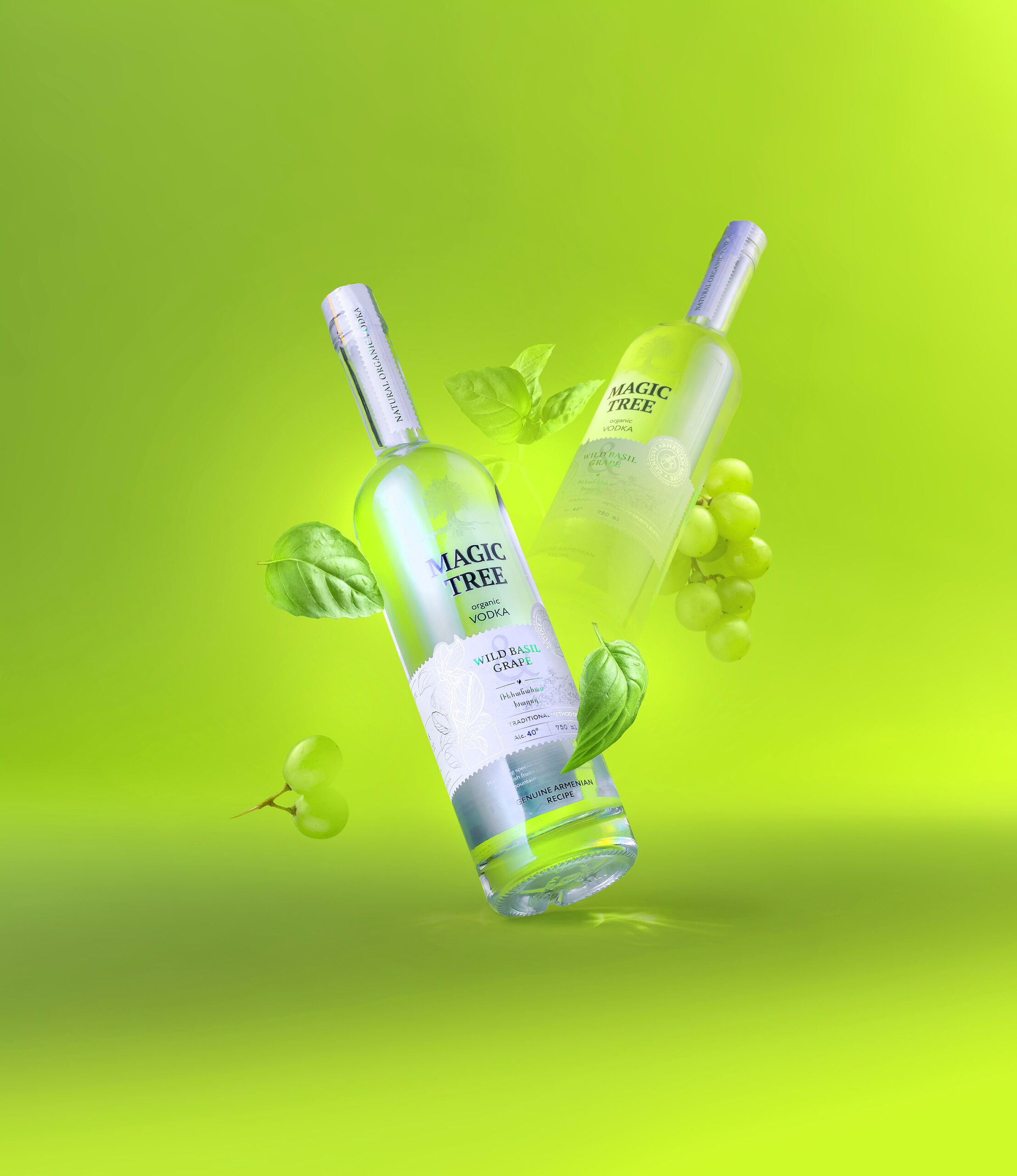 原始高貴的伏特加酒包裝設計欣賞(圖1)