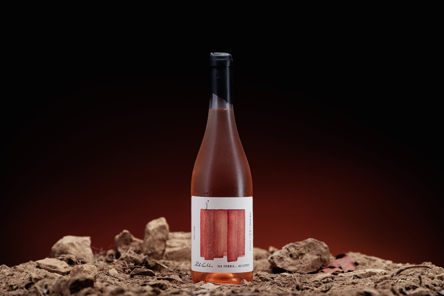 簡約優雅的葡萄酒包裝設計參考(圖2)